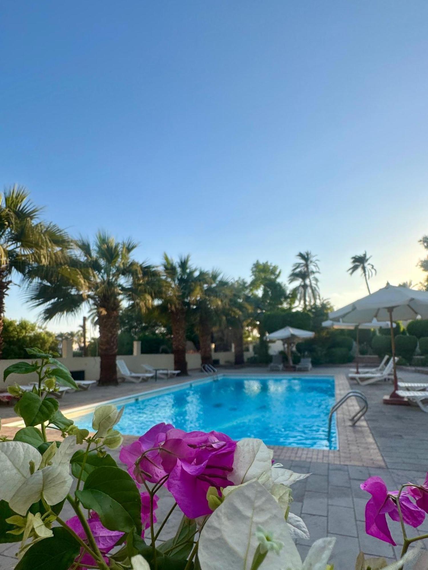 Hotel Sheherazade Λούξορ Εξωτερικό φωτογραφία